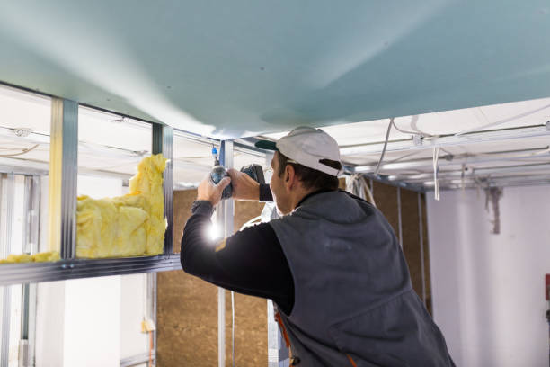 Best Insulation Maintenance and Repair in National City, CA