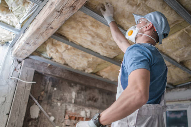 Best Insulation for Specific Applications in National City, CA