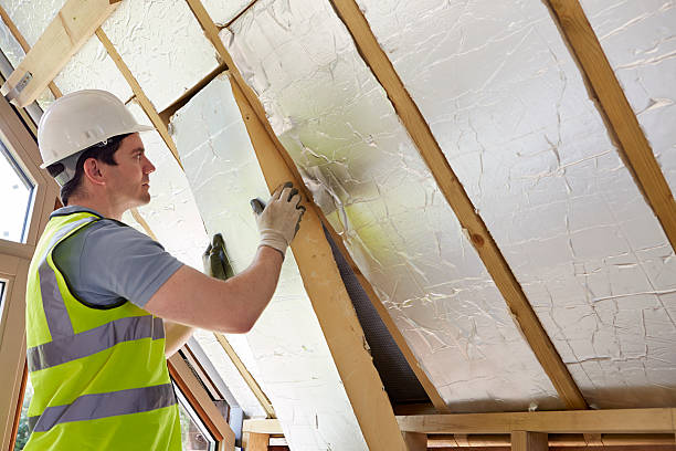 Best Geographic-Specific Insulation Services in National City, CA